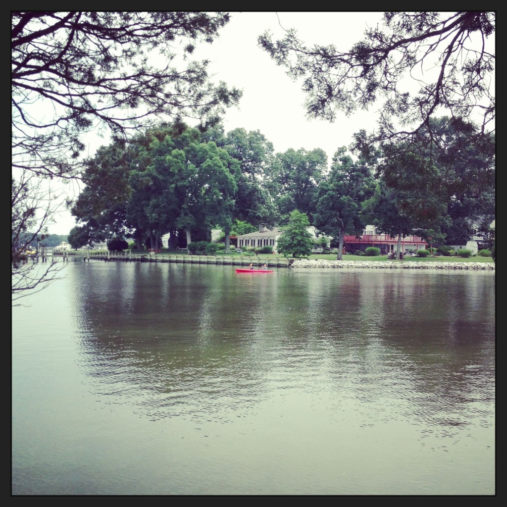 Hugh gallagher college essay meaning image